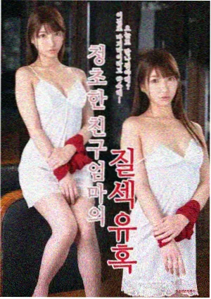 纳萨力克群像剧场版前夜祭特番封面